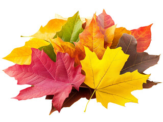 Vibrant autumn leaves display a stunning array of red, yellow, orange, and brown hues showcasing nature's seasonal beauty