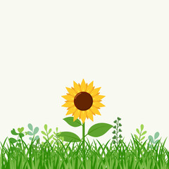 Yellow sunflowers in full bloom. Vector Illustration. All layered and grouped. Vector.
