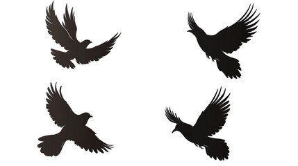 Obraz premium Silhouetted birds in flight transparent background png format white space captivating visuals nature illustration