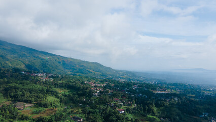 Scenic View of a Residential Landscape with a Majestic Mountain	
