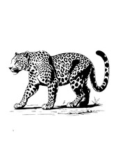 Illustration Hand-Drawn Leopard Design .
