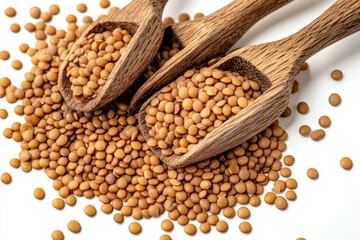 Naklejka premium Brown Lentils in Wooden Scoops - Close-up shot of brown lentils spilling from three rustic wooden scoops against a white background