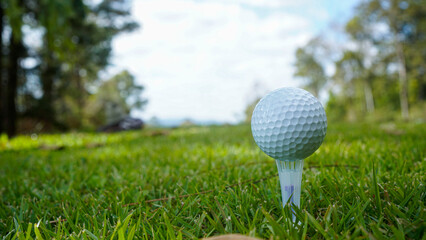 Golf ball on tee in the evening golf course with sunshine background.