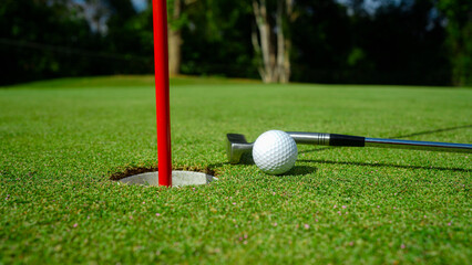 Top view of a golf ball with putter on green course at hole.