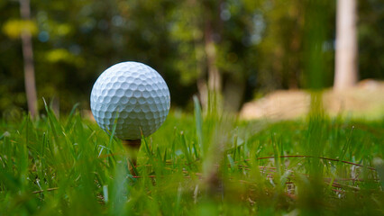 Golf ball on tee in the evening golf course with sunshine background.