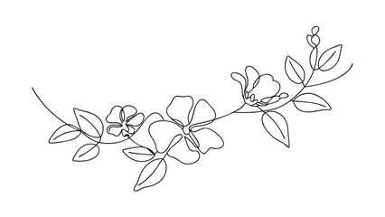 Elegant SingleLine Floral Branch Drawing, Botanical Art, Minimalist Design
