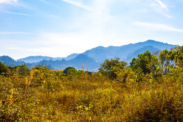 Tropical landscape rainforest jungle and mountains in Khao Lak Thailand.