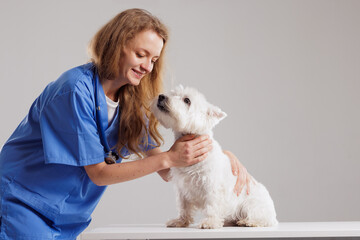 Happy veterinarian in blue scrubs bonding with a cute white dog at a check-up, expressing love and care in a veterinary clinic