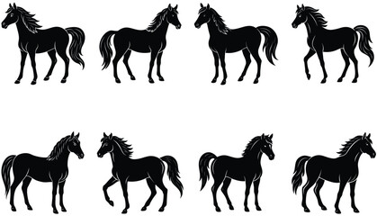 Fototapeta premium Set of horses silhouette. Horse Black and White Square Icon. Horse Icon on Black and White Vector Backgrounds. Arabian horse silhouette.