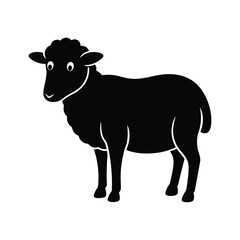 black and white sheep