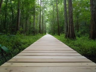 Obraz premium A serene wooden walkway through lush greenery, inviting exploration in a peaceful forest setting. Tree and wood landscape concept. Tree and wood landscape concept.