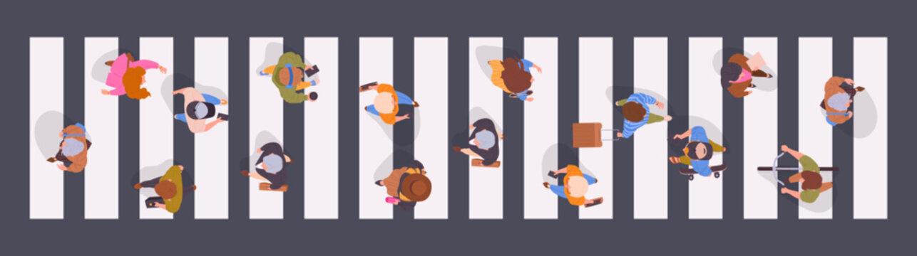 Walking pedestrians. People crossing road view from above, characters on crosswalk, men and women walk down the street top view flat vector illustration. Male and female passersby crossing road