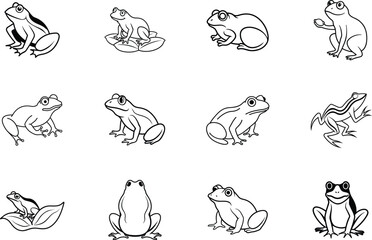 Fototapeta premium Twelve Diverse Frog Illustrations Amphibian Collection Line Art