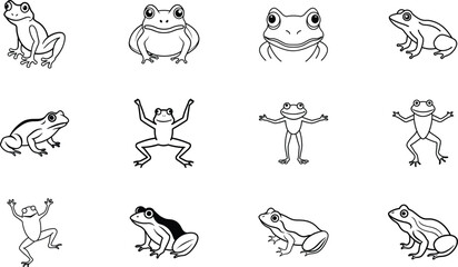 Twelve Adorable Frog Illustrations Simple Line Drawings of Amphibians
