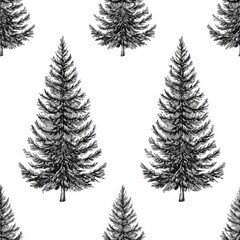 Fototapeta premium A seamless pattern of evergreen trees, beautifully illustrated in black and white.
