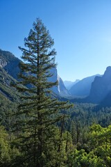 Entering Yosemite National Park