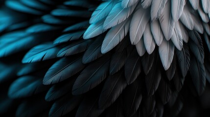 Obraz premium Close-up view of vibrant feathers showcasing intricate patterns and textures in shades of blue and white