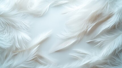 Soft and airy white feathers arranged elegantly on a light background, creating a dreamy and ethereal atmosphere that evokes feelings of calm and serenity.