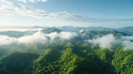Obraz premium Lush green mountain ridges covered in low clouds and mist under a bright morning sky.