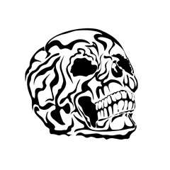 human skull vector illustration