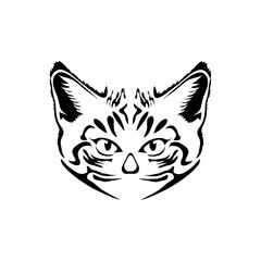vector illustration of a cat