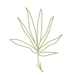 bamboo stem and leave