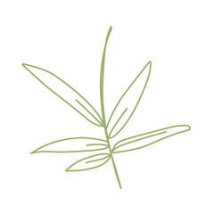 bamboo stem and leave