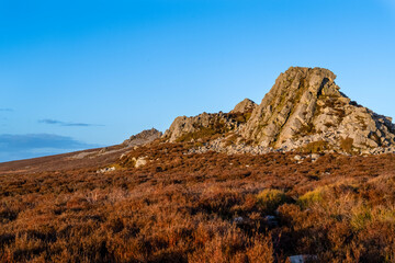 Landscape image of sunset colours at a rock formation on the Stiperstones National Nature Reserve in Shropshire in the UK