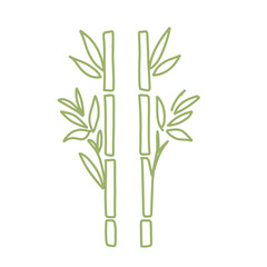 bamboo stem and leave