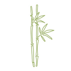 bamboo stem and leave