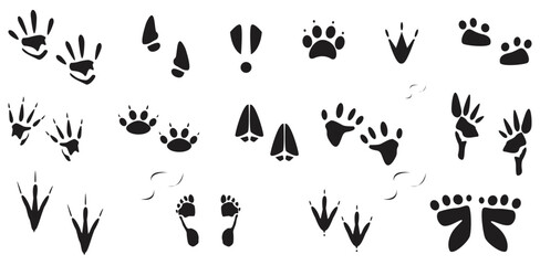 Various Animal Footprint Silhouettes in Vector Format. Isolated On Transparent Background.