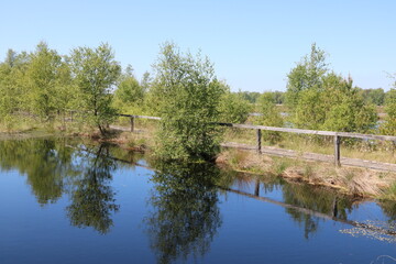 Idylle am Wasser mit Bäumen und Steg im Moor / Pietzmoor Lüneburger Heide