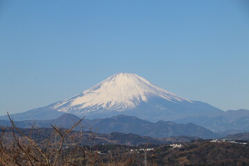 富士山