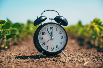 Time for crop protection and herbicide treatment, alarm clock in cultivated soybean field
