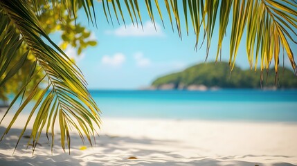 Fototapeta premium Tropical beach background with white sand and palm leaves, blurred ocean in the distance. Summer vacation concept