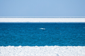 Frozen Lake Michigan with ice shelves against blue sky 