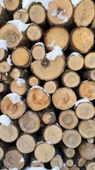 Stack of Wooden Logs Covered with Snow in a Natural Outdoor Setting. Snow-dusted cut wooden logs arranged in a neat pile, showcasing natural textures ideal for countryside, firewood or rustic-inspire