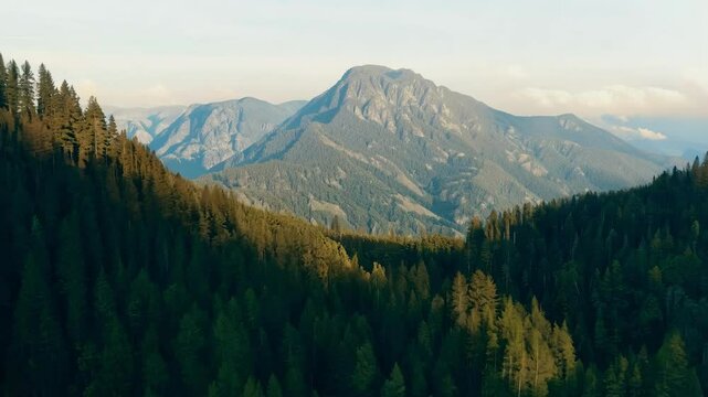 A breathtaking view showcases vast mountains surrounded by dense forests, bathed in soft sunlight. The tranquility of nature captivates the senses, inviting exploration.