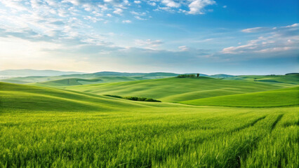 Fototapeta premium vast green meadow under soft blue sky, showcasing gentle rolling hills and vibrant grass. serene landscape evokes sense of peace and tranquility