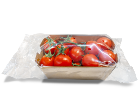Tomatoes in cardboard tray packed in clear plastic bag isolated