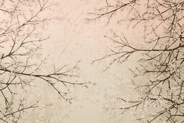Serene spring scene featuring delicate cherry blossom branches framing a soft pastel sky