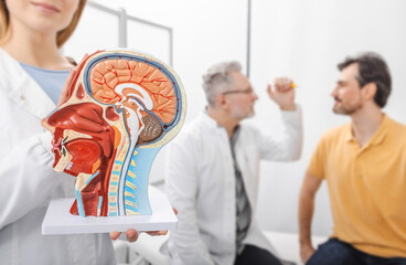 Consultation of neurologist in doctor's office in neurological clinic. Neurology, nervous system...