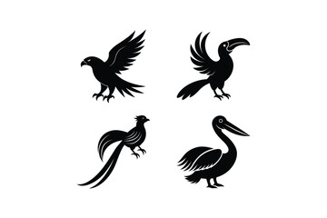 Bird Vector Bundle Illustration