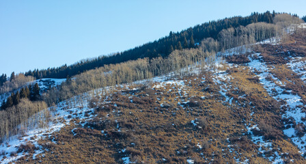 winter landscape in the mountains