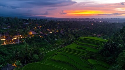 Fototapeta premium Serene sunset over lush rice terraces in Bali, showcasing vibrant colors and tranquil scenery
