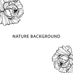 vector floral background