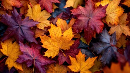 Vibrant autumn leaves in a colorful array, creating a natural carpet on the ground