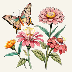 Vintage Botanical Illustration of Colorful Butterfly and Zinnia Flowers with Soft Pastel Colors