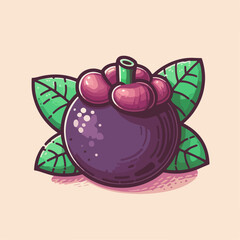 vector illustration of an mangosteen