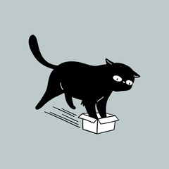 Cat Sitting in the Small Box